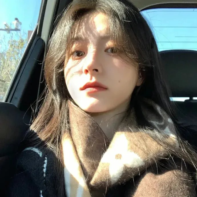 陛下，臣真是忠臣啊